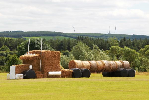 Spotted in Tipperary: Keep on trucking 