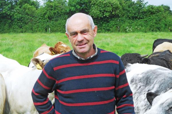 Waiting for rain and grass growth recovery