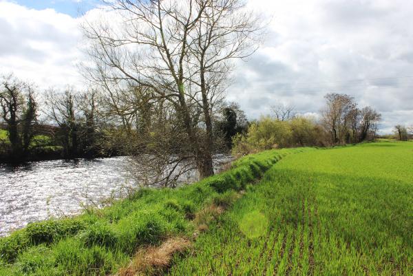 Focus on meeting new EFA requirements