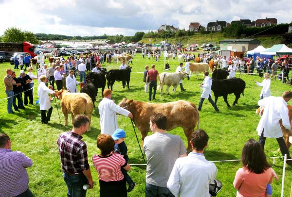 In Pictures - Fermanagh County Show  
