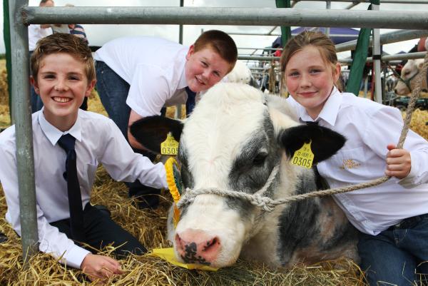 Factories cut beef prices