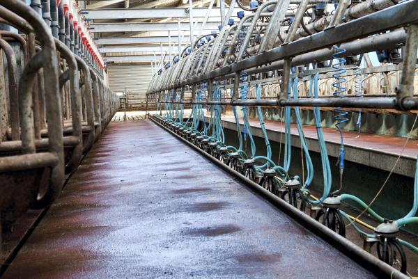 New dairy equipment grant details yet to be determined 