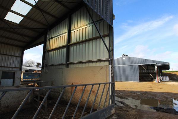 Labour efficient flexible sheds on a 170-cow dairy farm