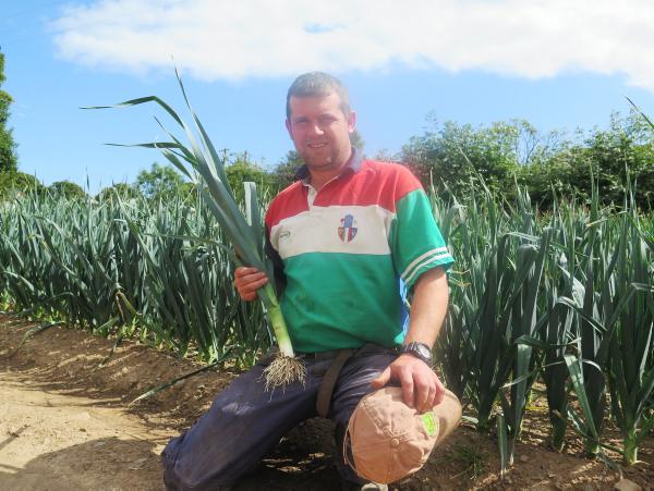 Potato and vegetable plight   