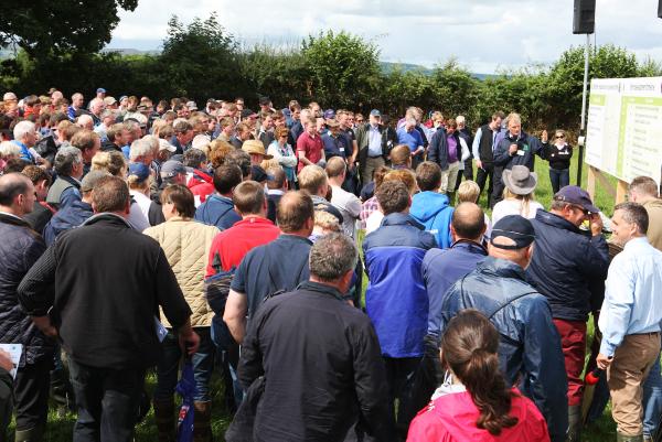 You don’t have to drive a tractor to be a dairy farmer