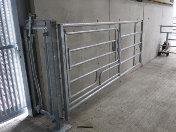 Fitting barriers and gates in a cattle shed