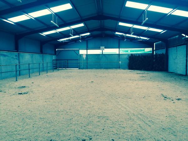 Safety in mind as Tullamore Mart builds new parade ring