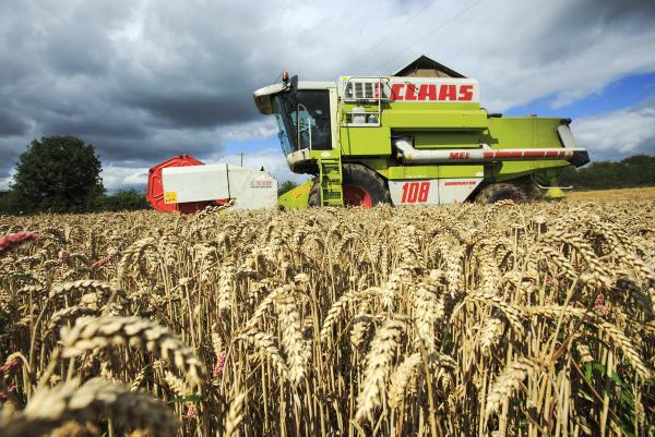 Weather reprieve will help complete harvest