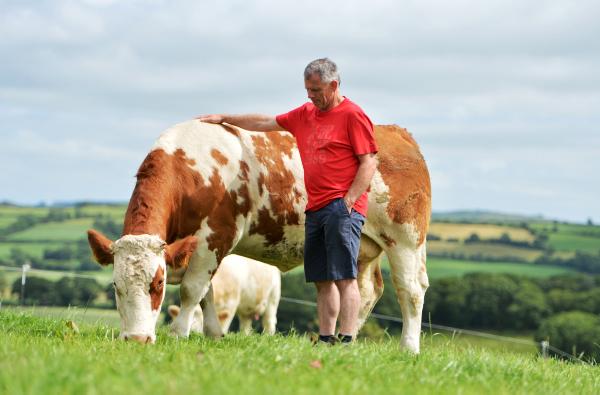  BETTER Farm preview - 100% AI breeding on spring calving herd in Cork