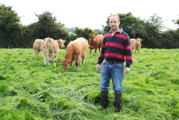 Producing weanlings on Westmeath BETTER farm 