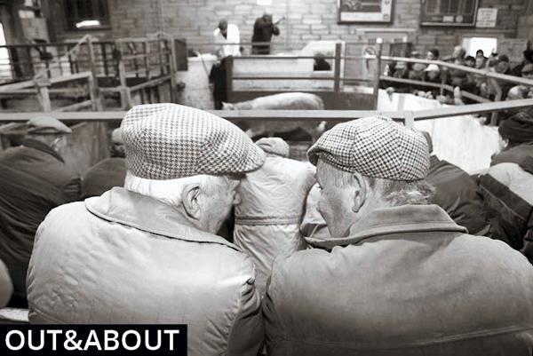 What's On w/c 4th Sep                        