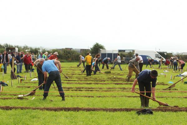 Stradbally Farm Services increase activity at ploughing