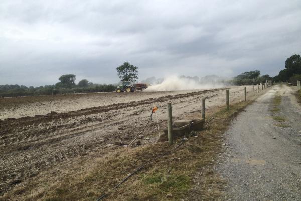 Derrypatrick update: Heifers housed for finishing 