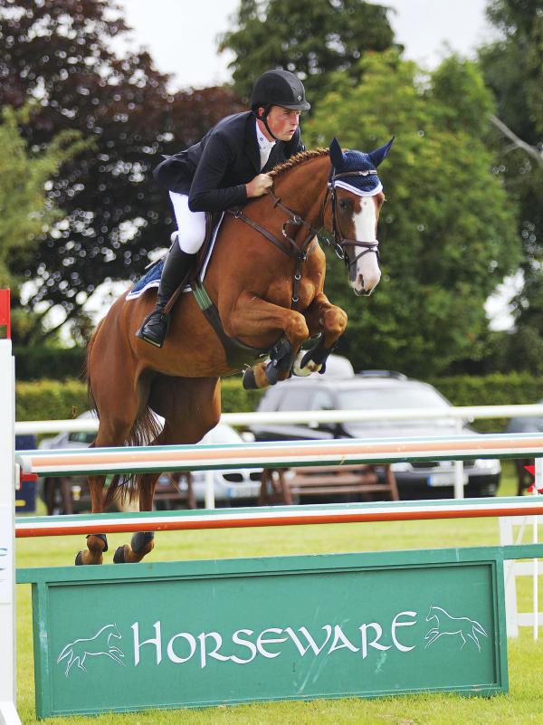 Ard Ginger Pop lights up sale at €95,000