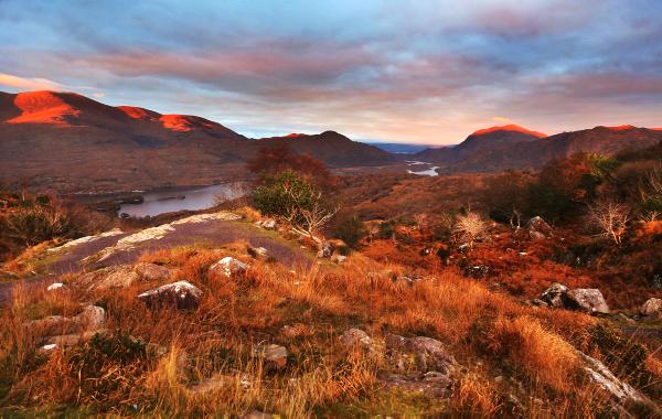 Take a walk on the wild side in Killarney