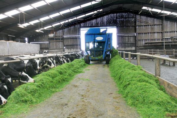 Most popular videos on farmersjournal.tv in 2014