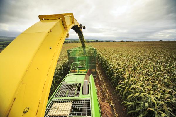 In Pictures - Around the country 30 November -0001 Free