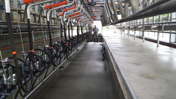 Farmer profiles of the Quality milk finalists 2014