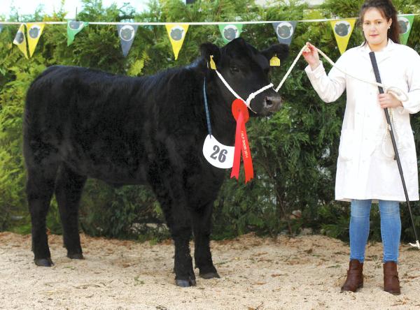 The last of the show season                                                