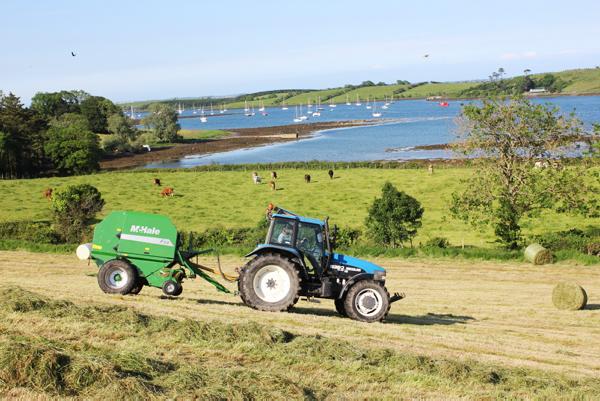 Health check provides some food for thought