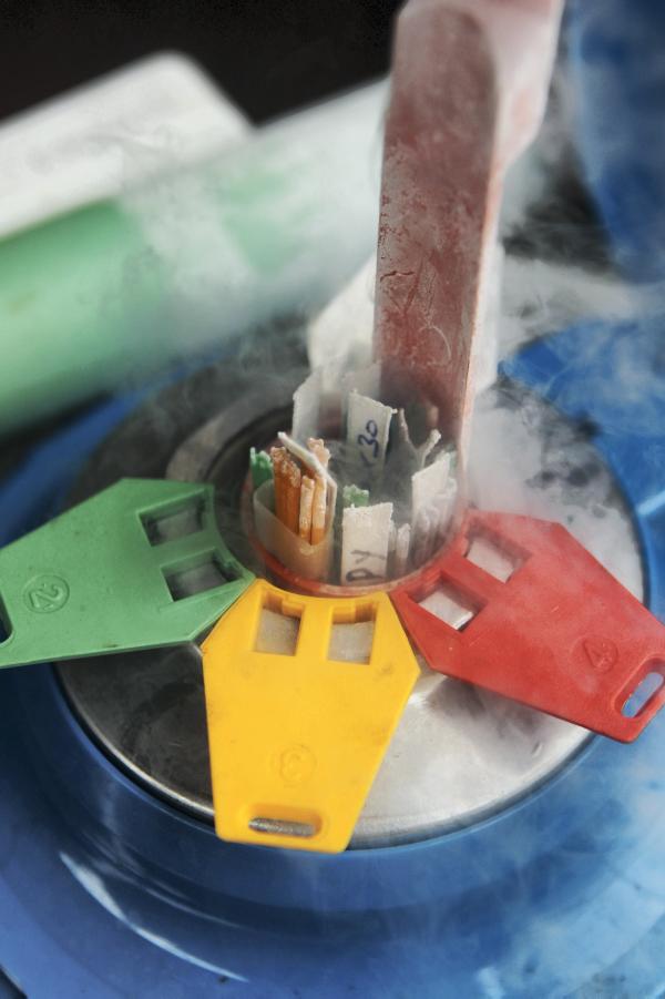 Top tips for DIY AI users     
