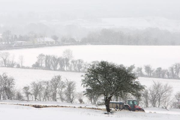 Don't get stuck in a rut this winter