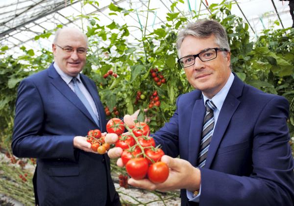 Hogan takes tour of Irish multinational before going to Brussels