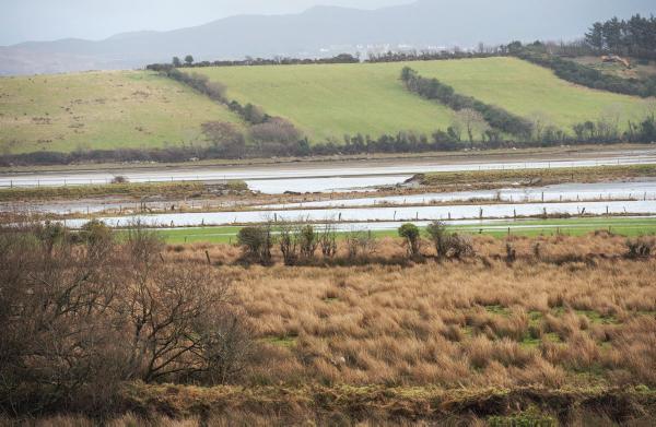 Fluke still a concern, despite dry summer