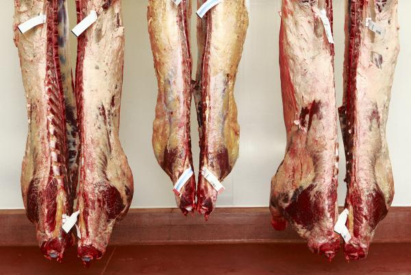Almost 300 jobs in meat sector                  