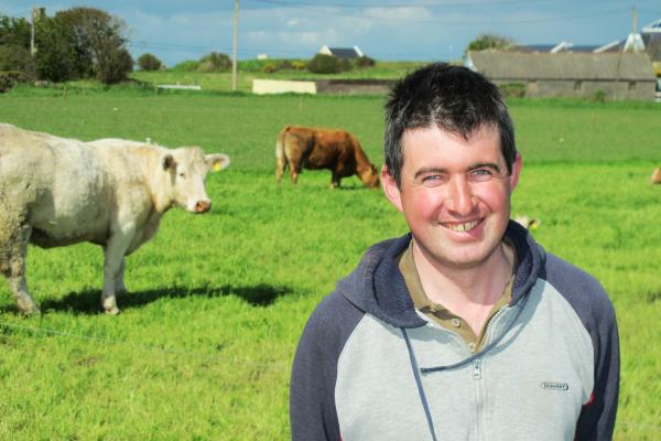 Using home grown feed to finish cattle on Cork BETTER Farm