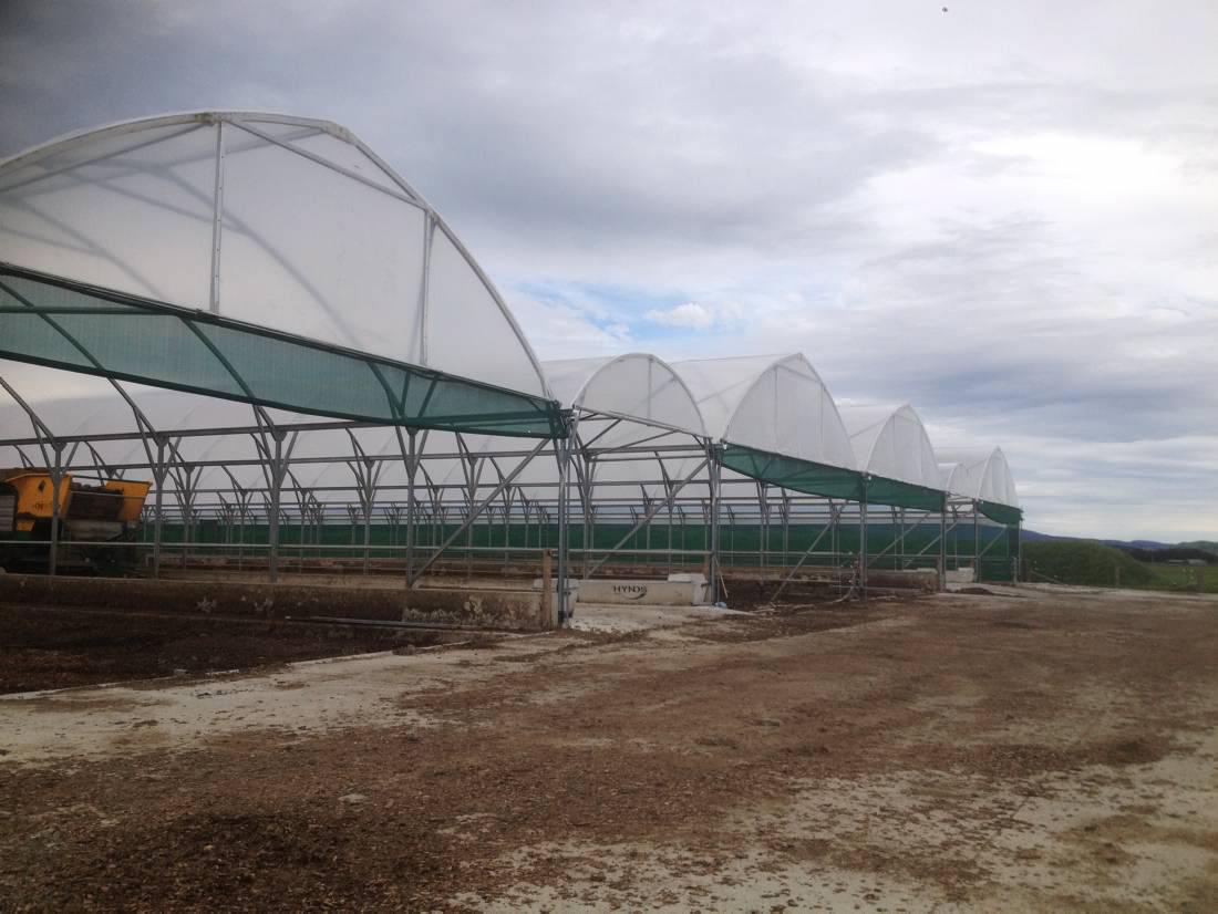 Wintering in - Turning to sheds in Southlands