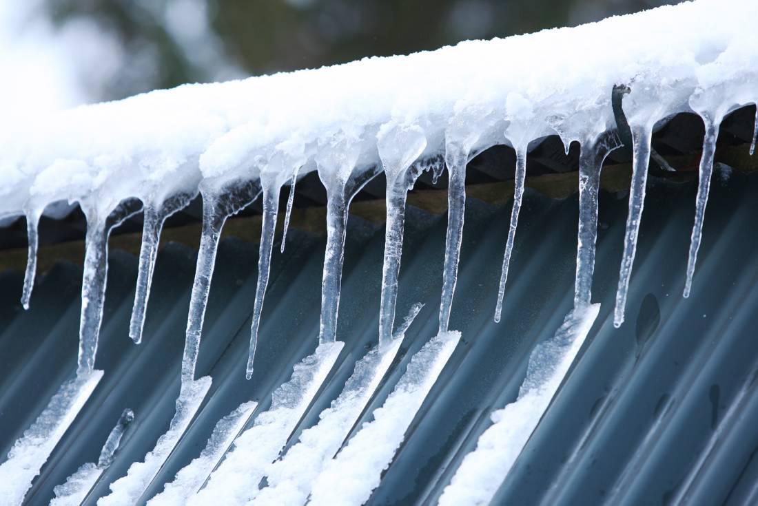 Opening of Russian market for Irish pedigree cattle confirmed