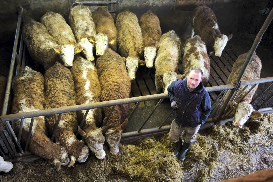 In pictures: Irish Farmers Journal front pages January - March 2014