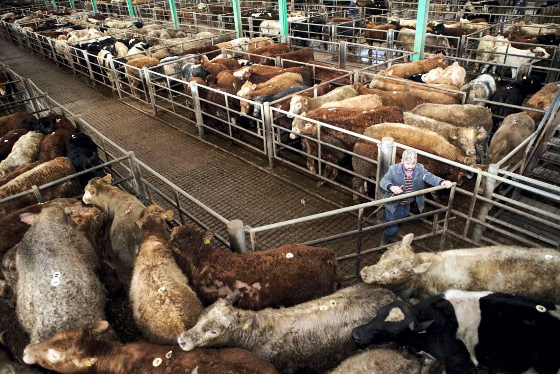 Clare IFA dispute over mart sale 