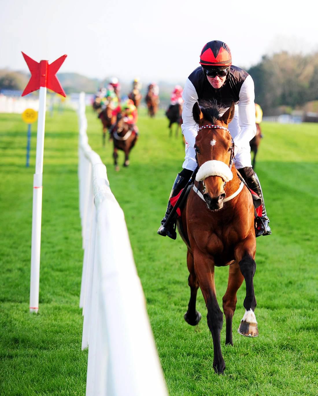 Racing's royal stars of 2014    