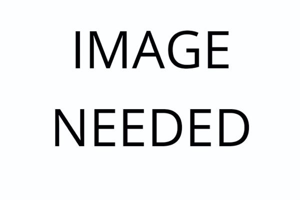 Events December 26-31                                                           