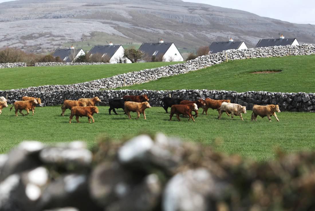 2014 – An A to Z of the farming year