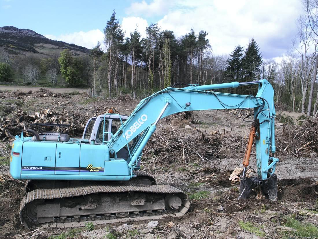 Topical forestry research programmes announced