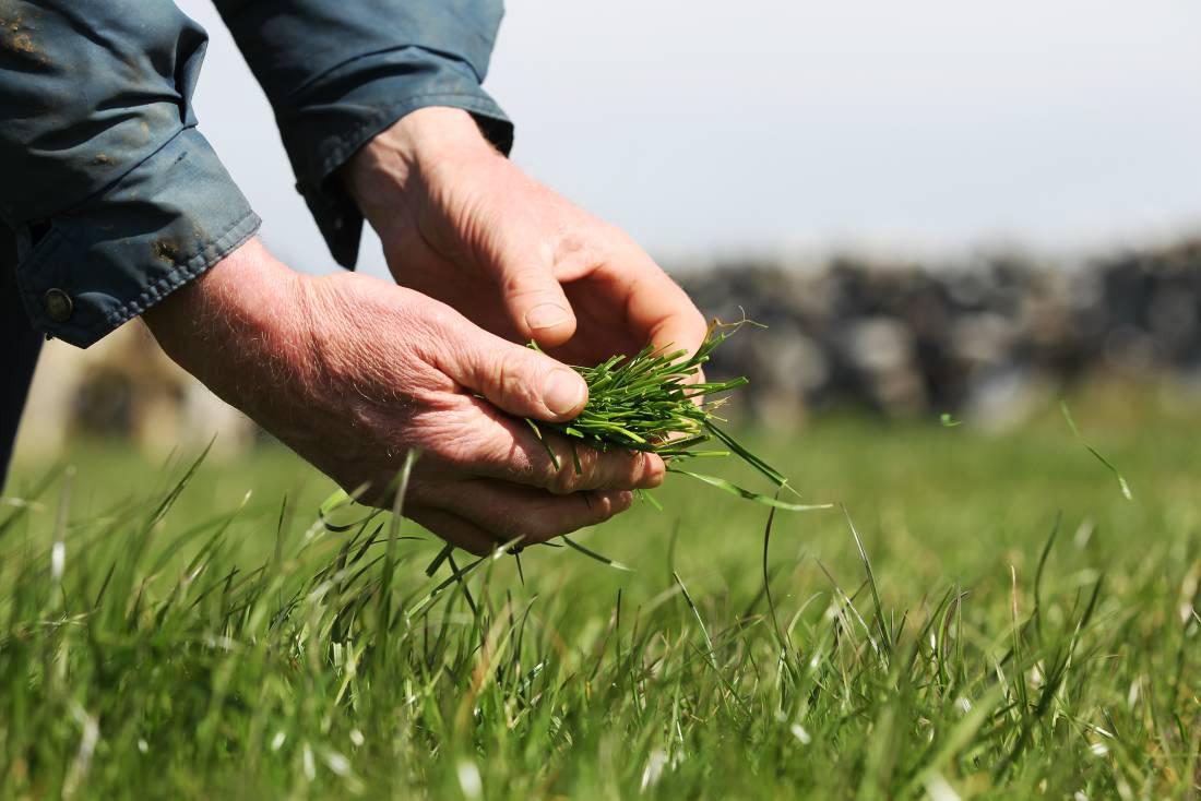 Skill level determines success