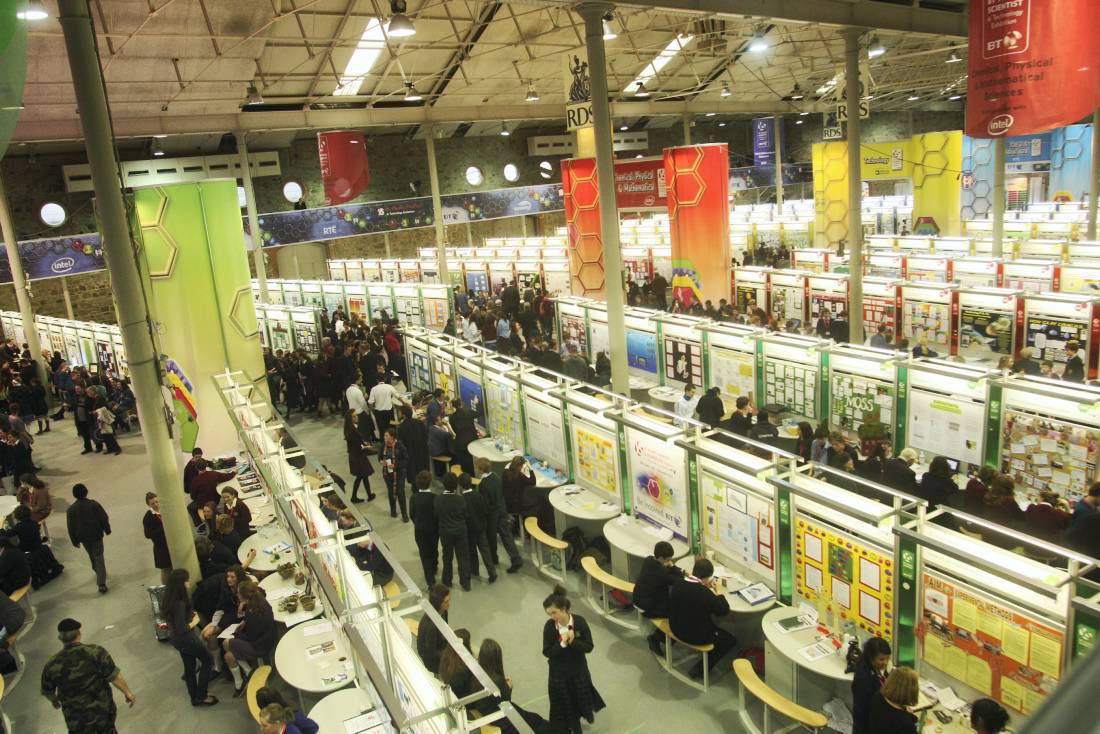 Strong agricultural entries on show at BT Young Scientist competition 