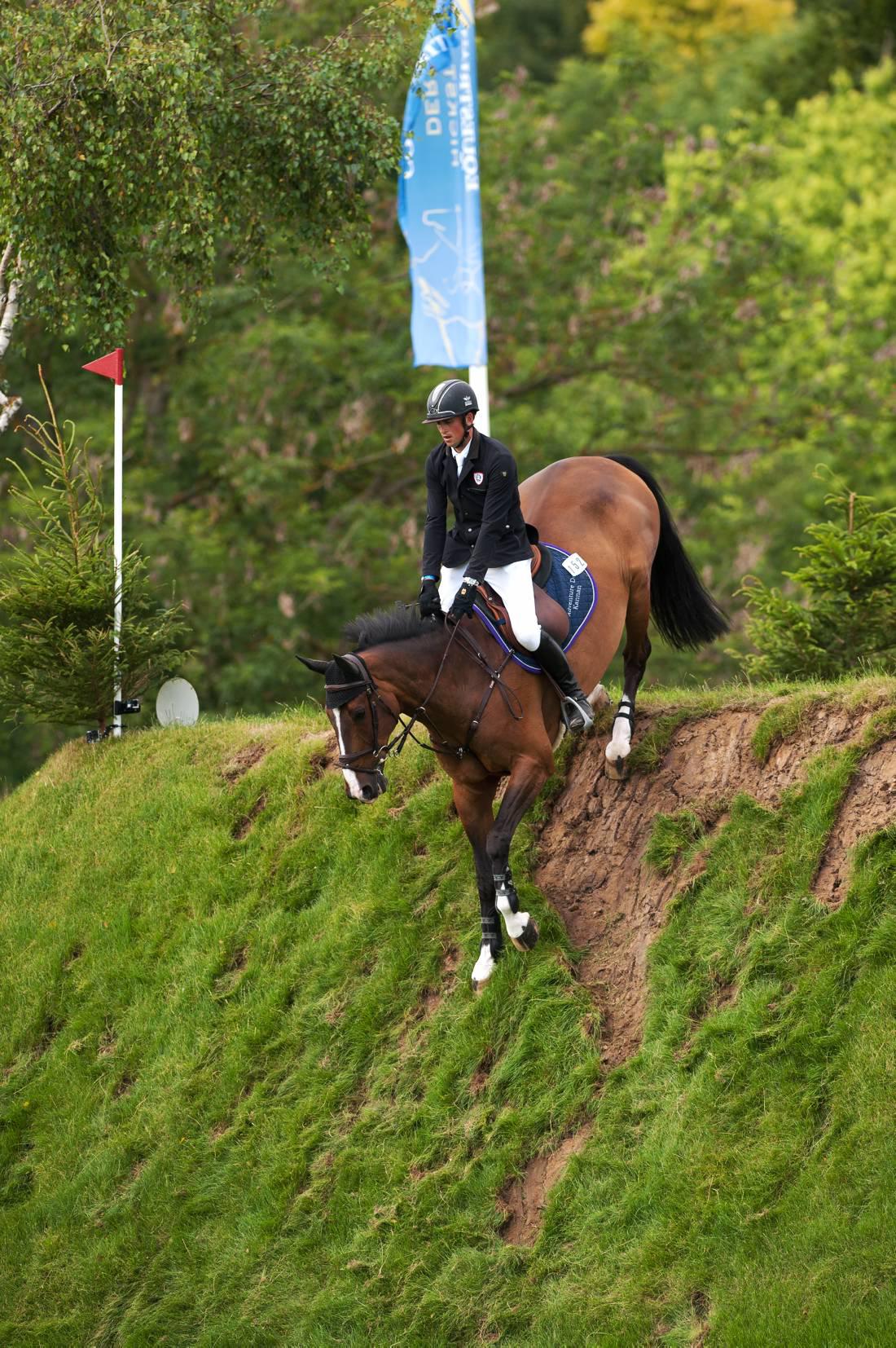 Gallop towards Olympic success with the Equine Hedge School                     