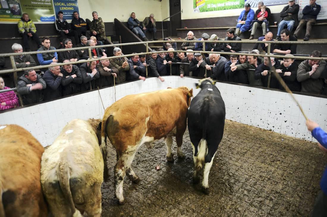 Trade firm as numbers start to increase