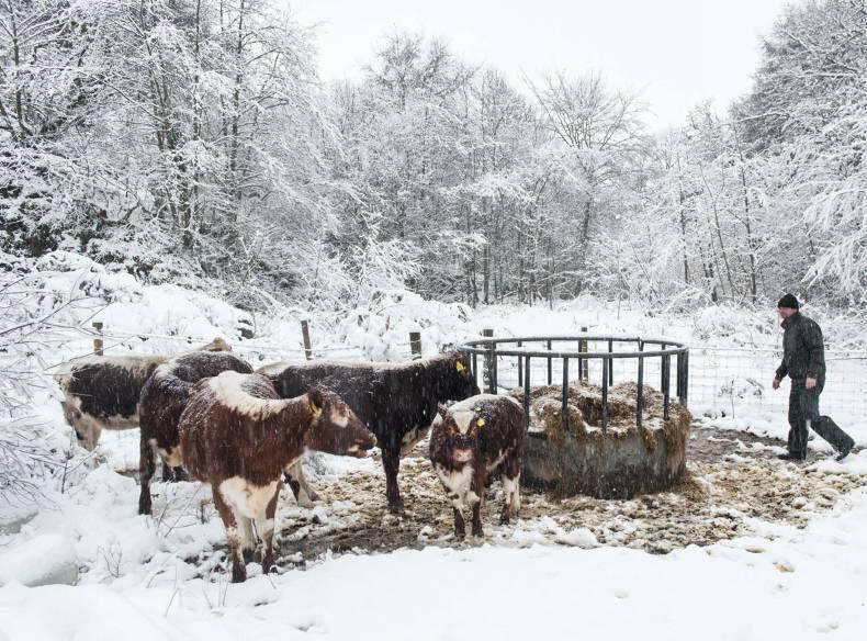 In pictures: White January                                               