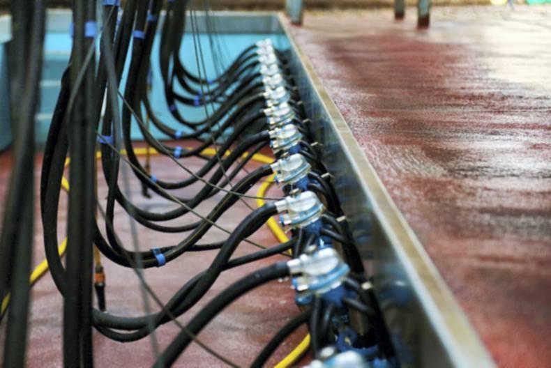 Farmer writes: Benefits of milking once a day                   