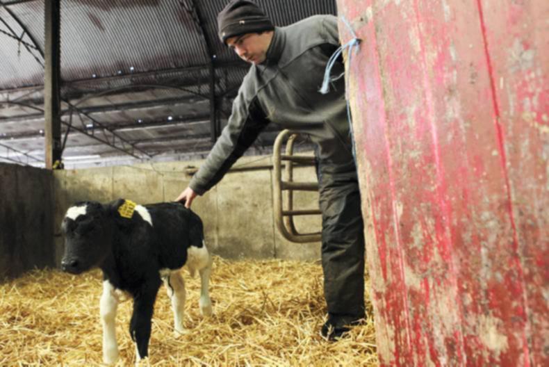 Sexed semen likely to be dropped for next season