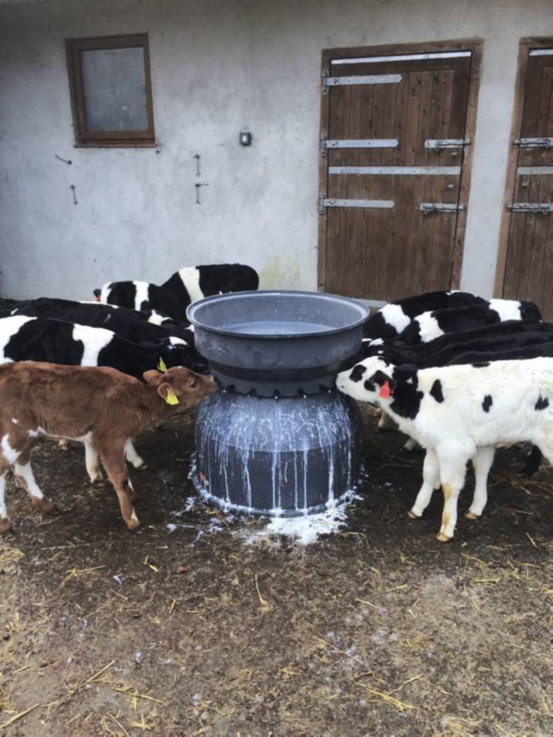 Farmer writes: Calving is the most rewarding period of the year