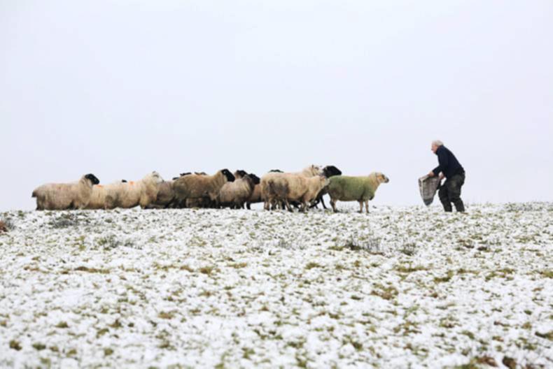 Orange weather warning issued by Met Éireann