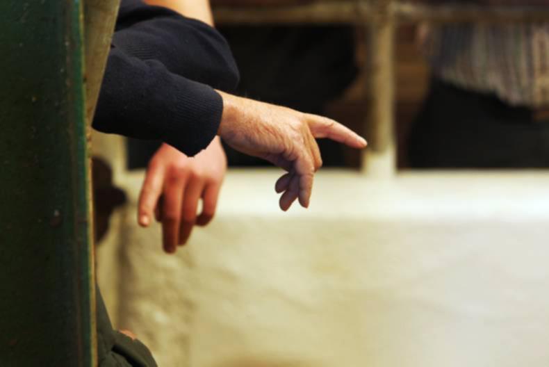 Level 8 qualification required to be a GLAS advisor