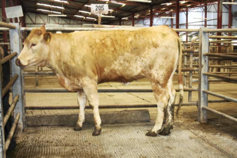 Farmer writes: Where have all the stores gone? 