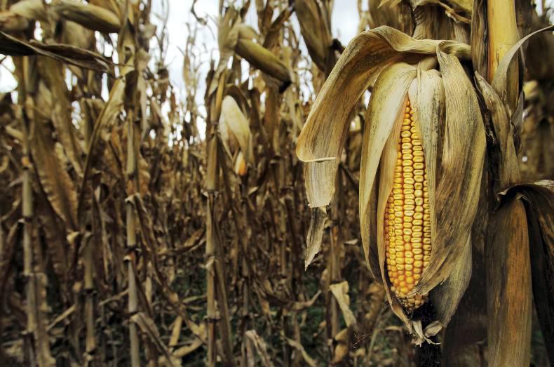 US to face decade-long droughts, a new study predicts